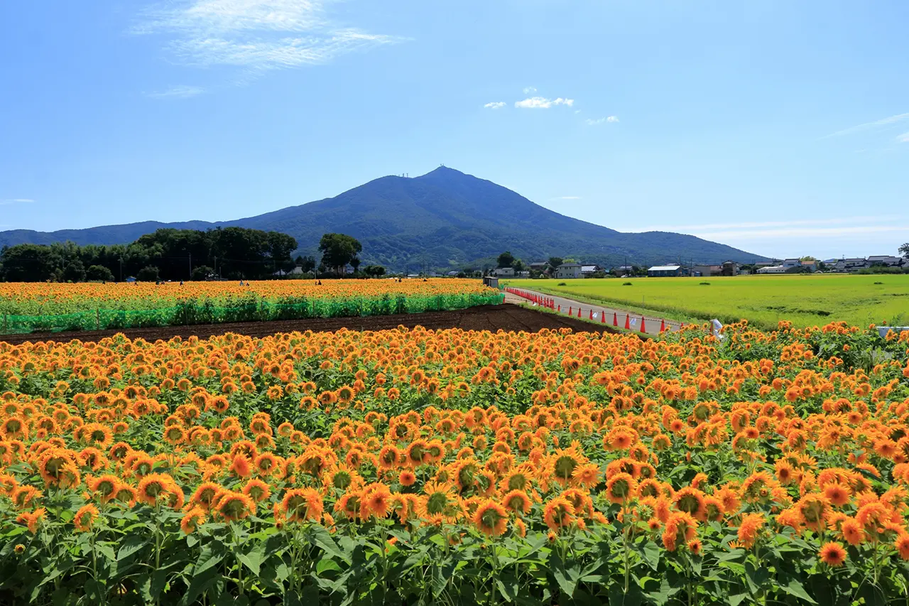 茨城県の金融車買取サービス 1 茨城県・筑波山